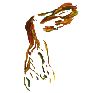 Yodche Legal Studio en la CdMx